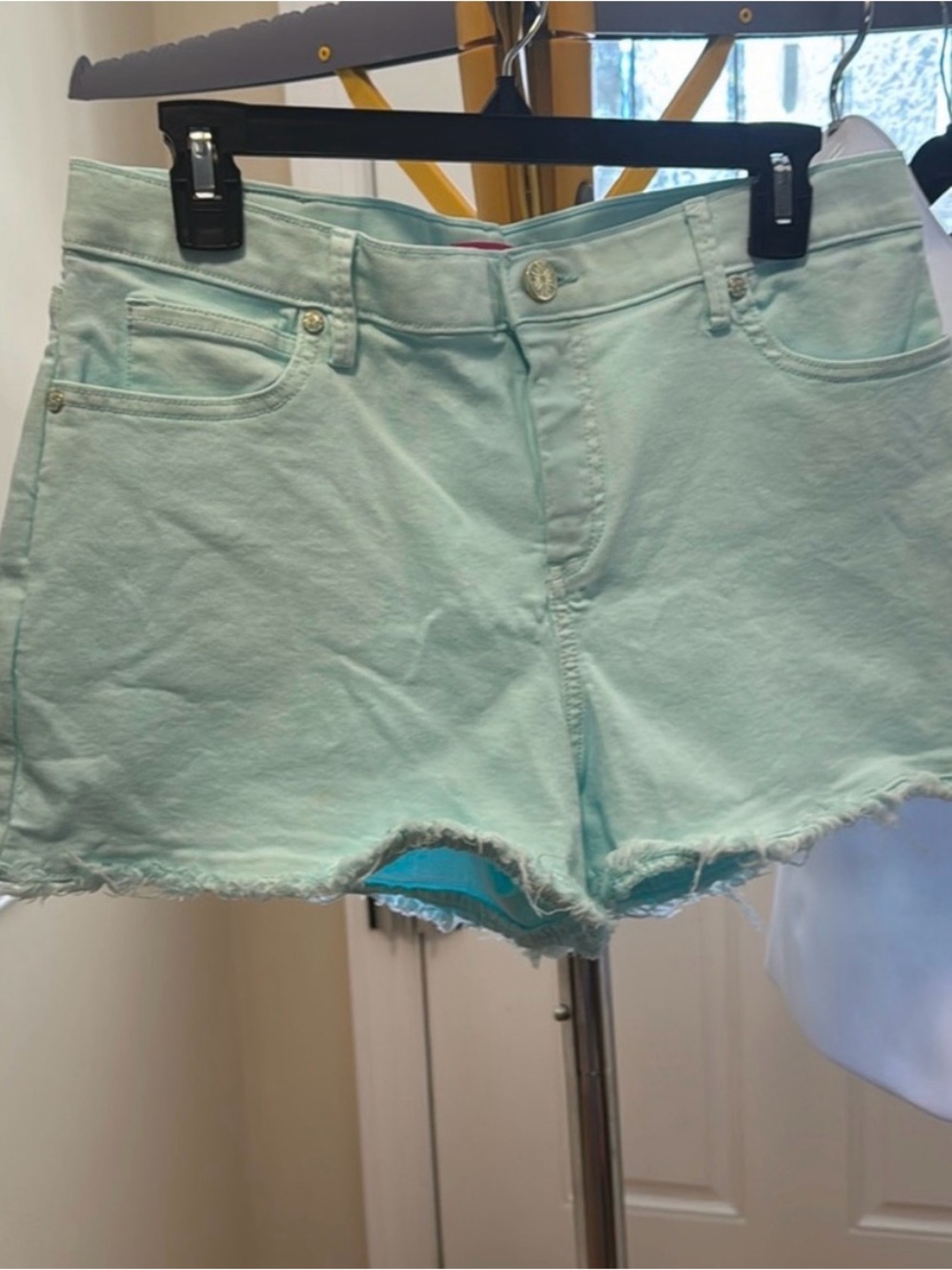 Lilly denim shorts- blue teal 12